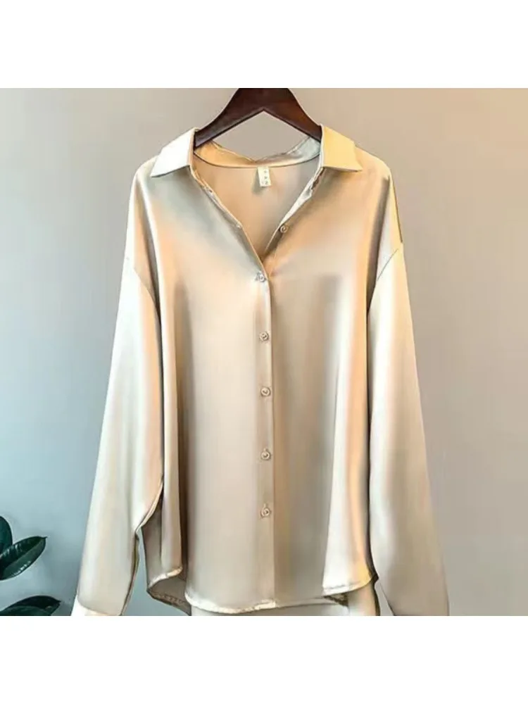 Plus Size Casual Vrouwen Zijde - Silk Blouse recensie en prijs