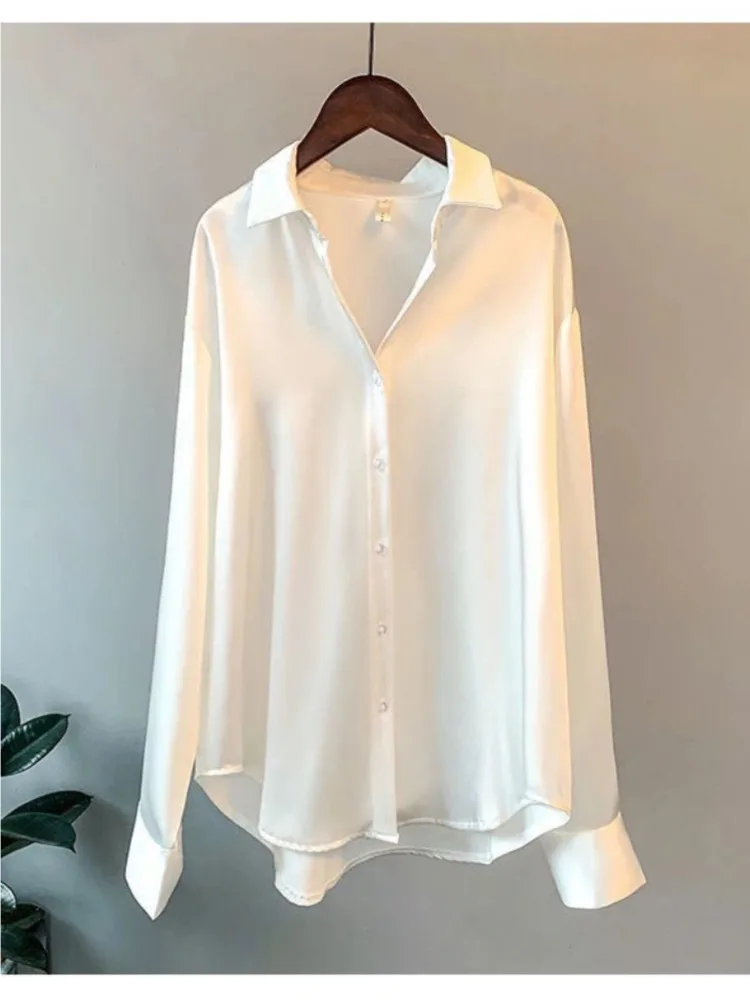 Plus Size Casual Vrouwen Zijde - Silk Blouse recensie en prijs