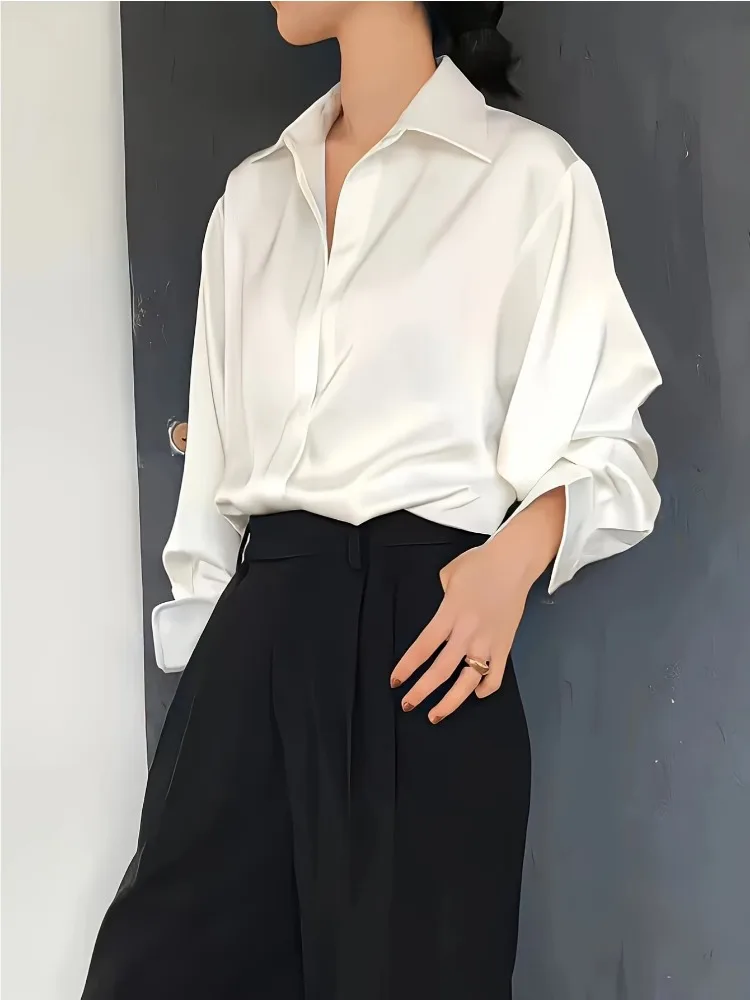 Plus Size Casual Vrouwen Zijde - Silk Blouse recensie en prijs