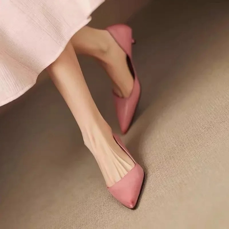 Dames puntschoen stiletto hakk - Womens Heels recensie en prijs