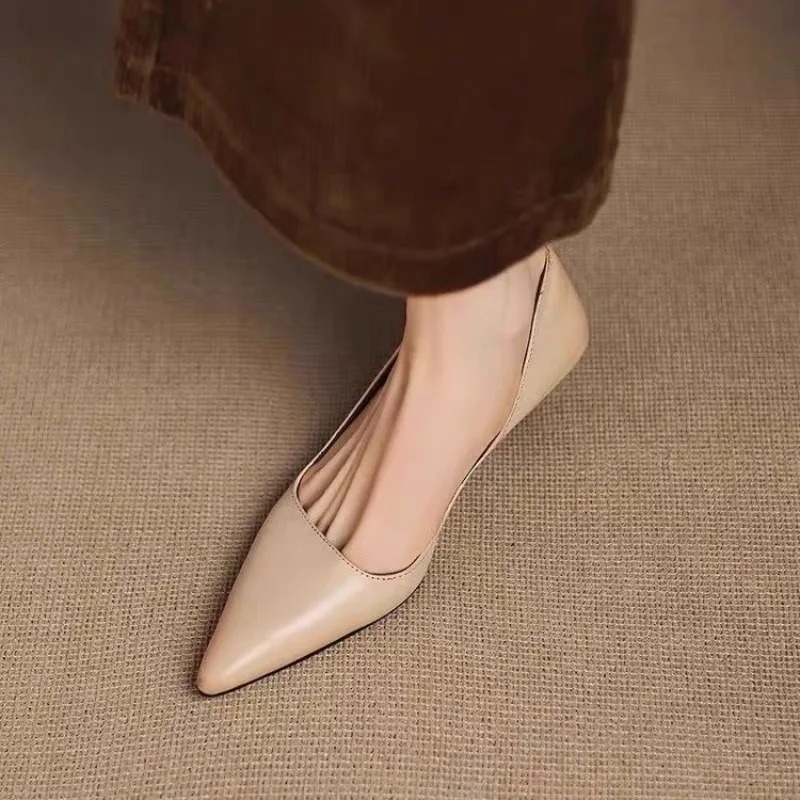 Dames puntschoen stiletto hakk - Womens Heels recensie en prijs